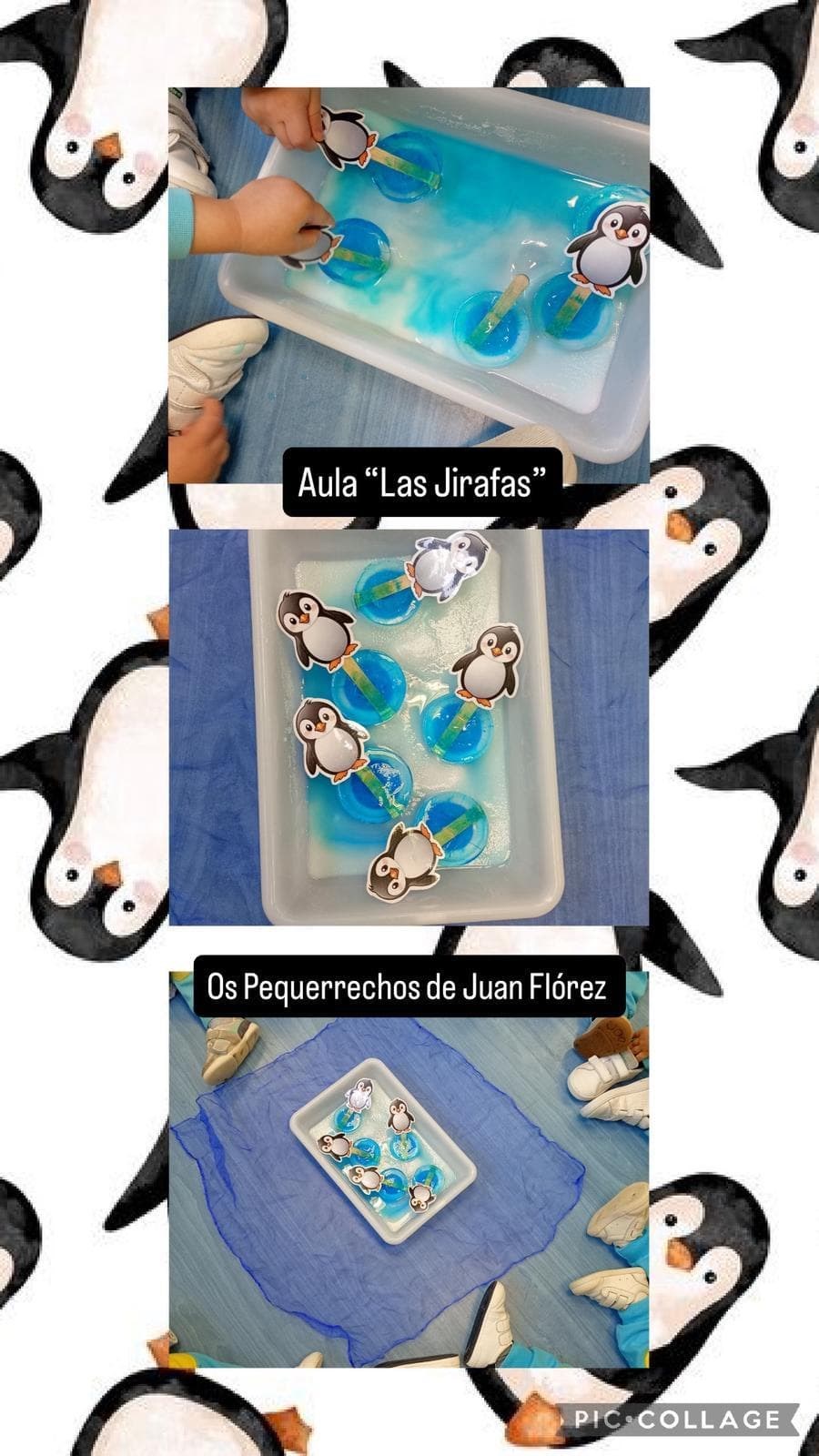 17 ENERO SAN ANTÓN - Imagen 5