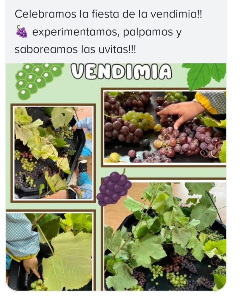 ACTIVIDADES DE LA SEMANA - Imagen 5