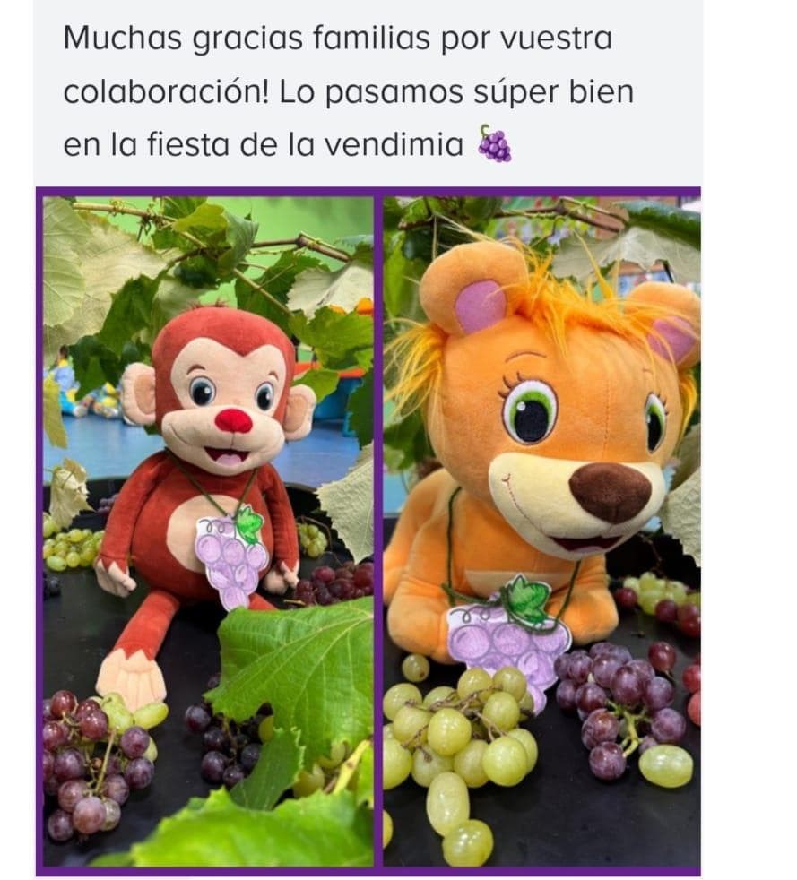 ACTIVIDADES DE LA SEMANA - Imagen 4