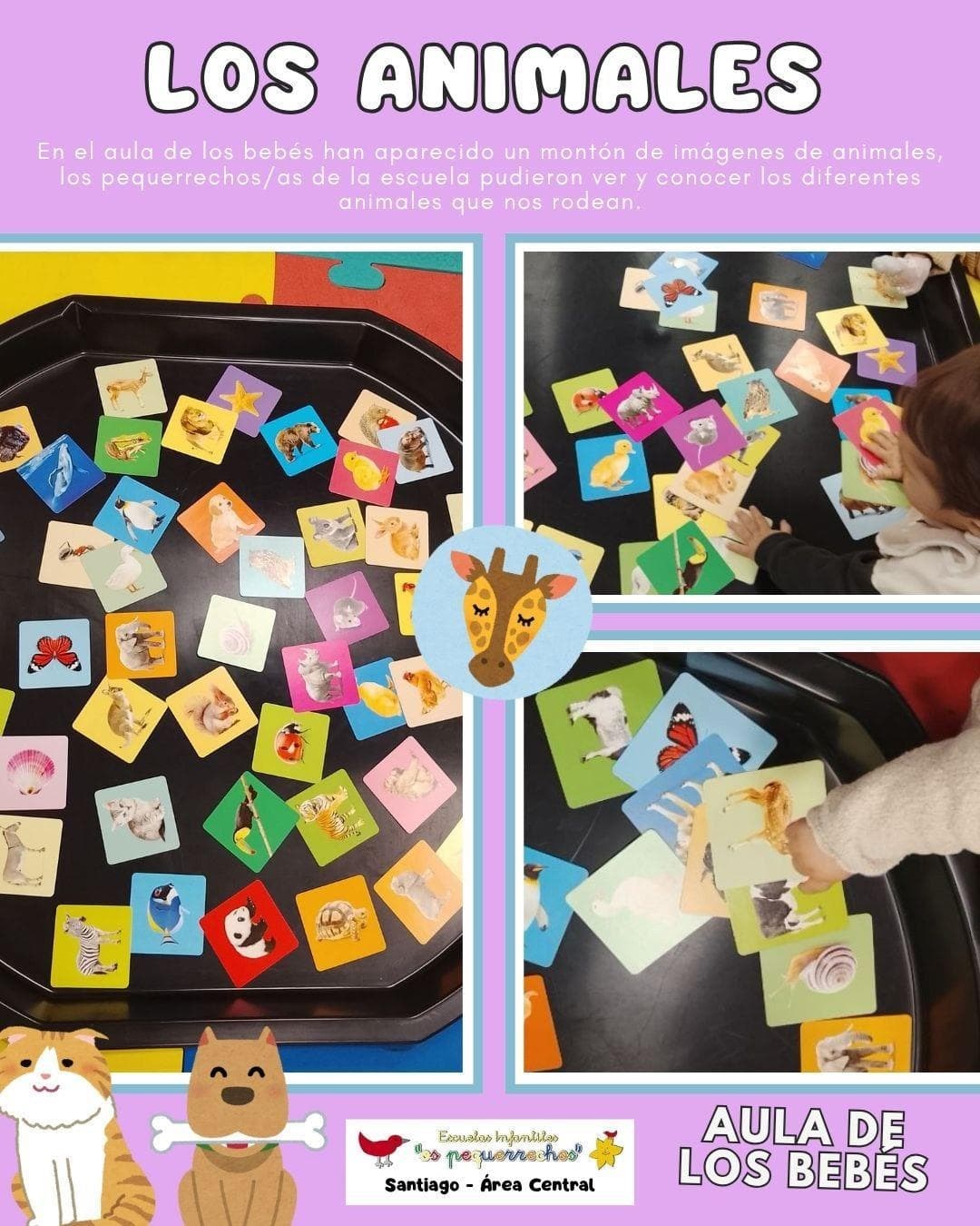 ACTIVIDADES DE LA SEMANA - Imagen 1