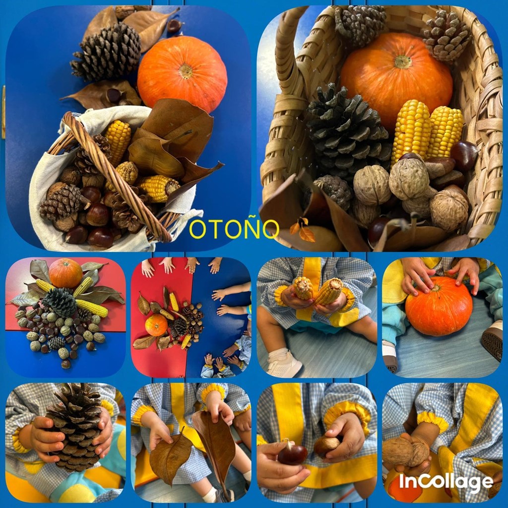 ¡BIENVENIDO OTOÑO!