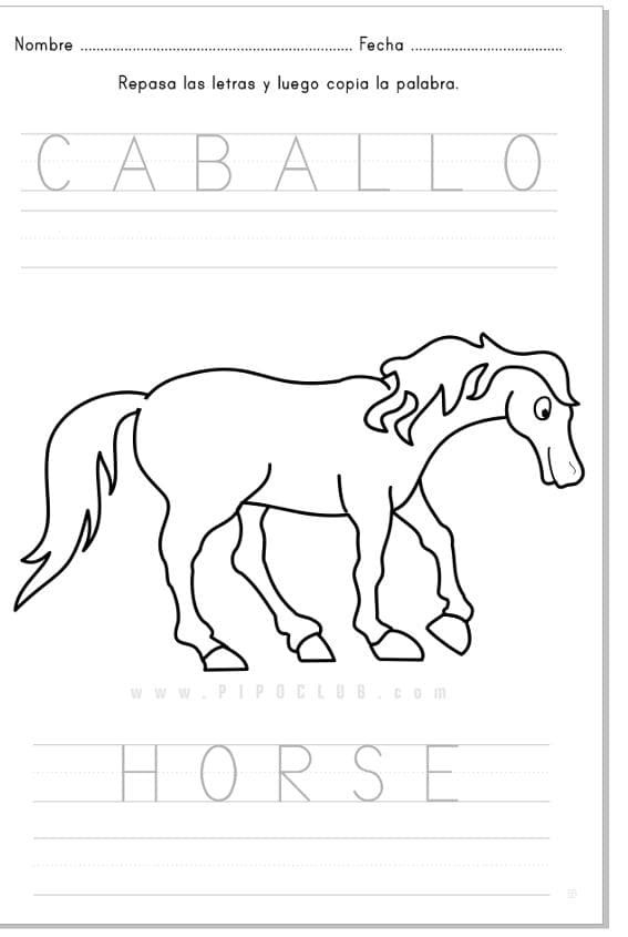 CABALLO-HORSE