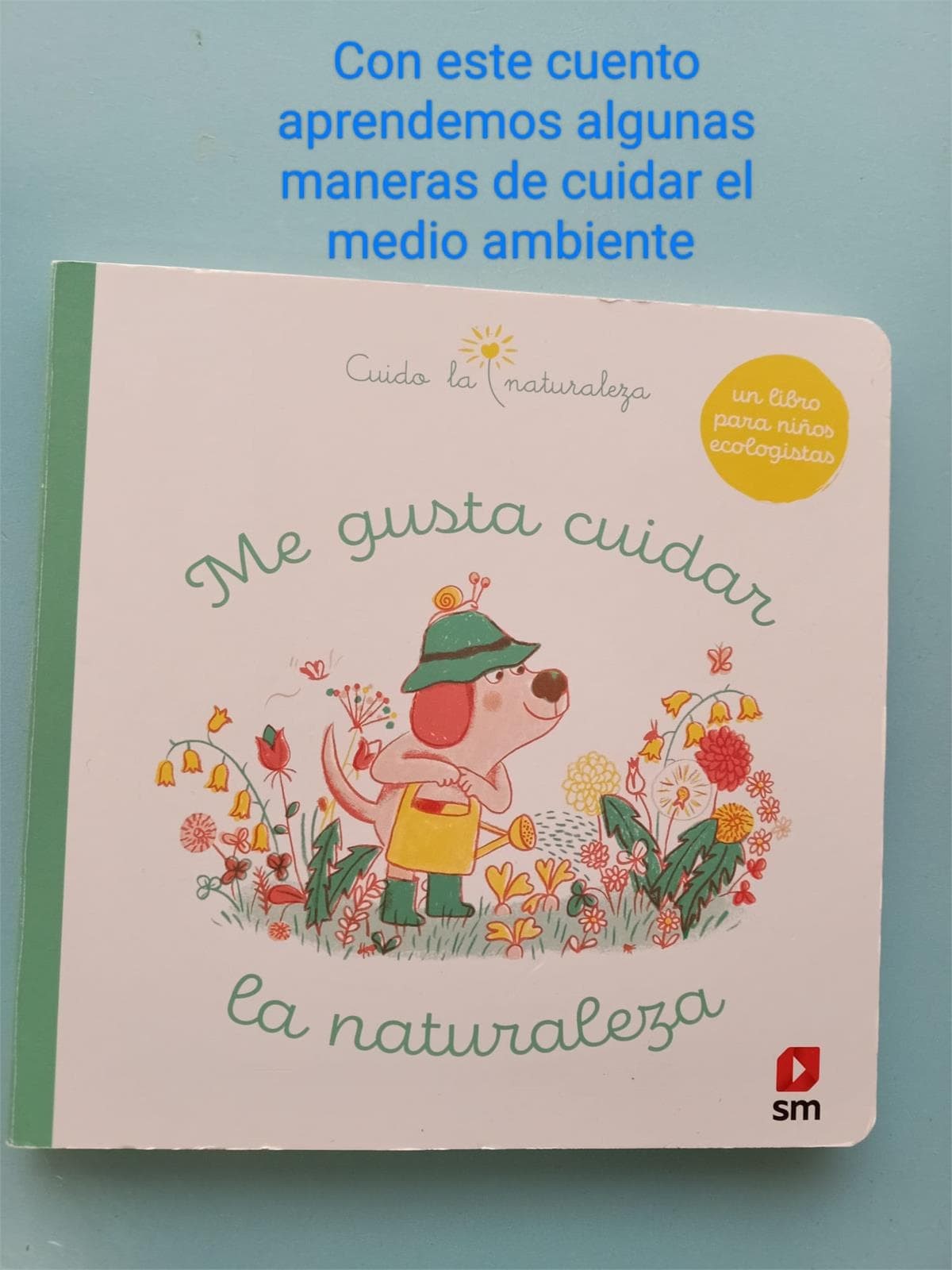 CELEBRAMOS EL DÍA DEL MEDIO AMBIENTE - Imagen 10