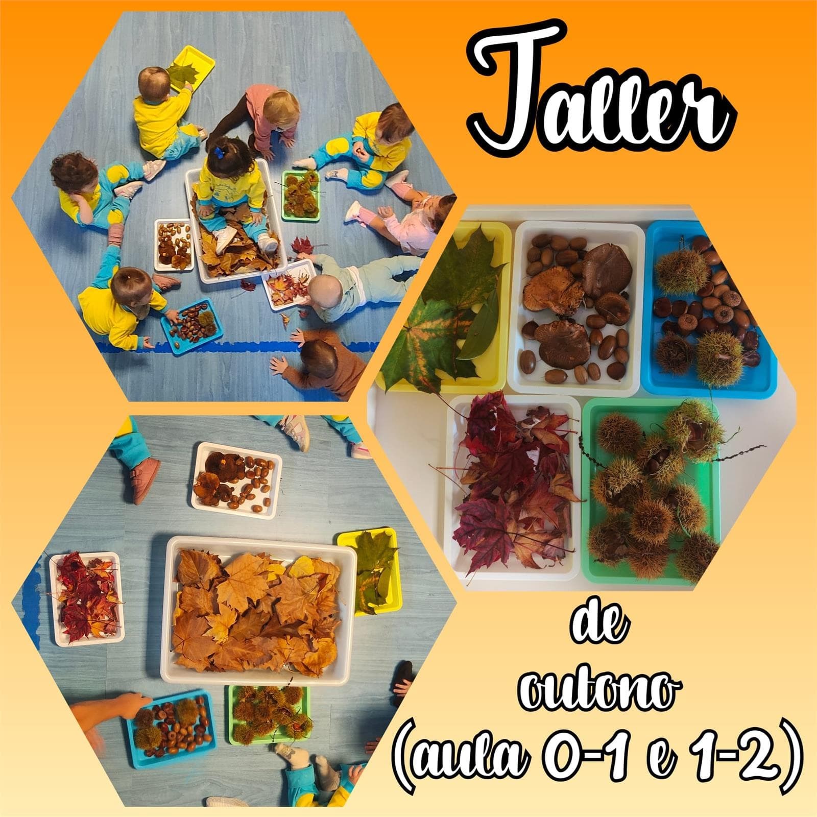 ¡CELEBRAMOS LA VENDIMIA! - Imagen 4