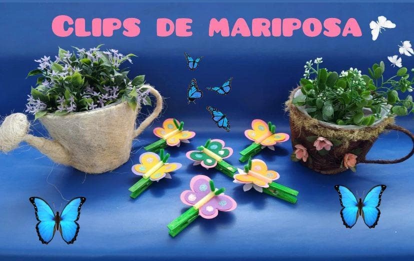 CLIPS DE MARIPOSA