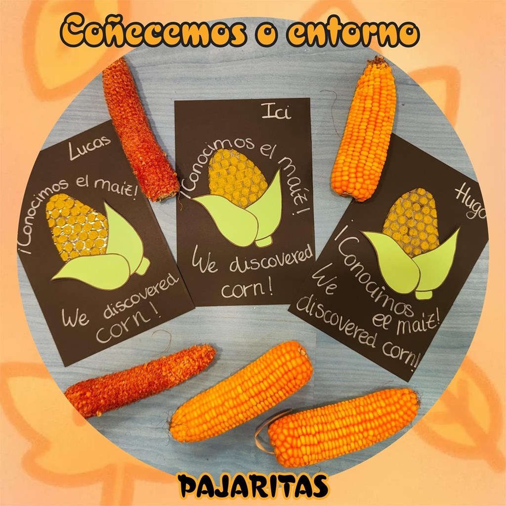 ¡CONOCEMOS EL ENTORNO!