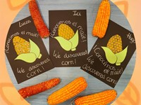 ¡CONOCEMOS EL ENTORNO!