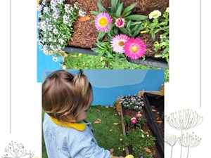 ¡CUIDAMOS NUESTRO JARDÍN!