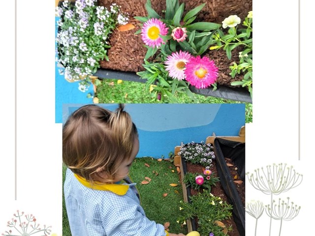 ¡CUIDAMOS NUESTRO JARDÍN!