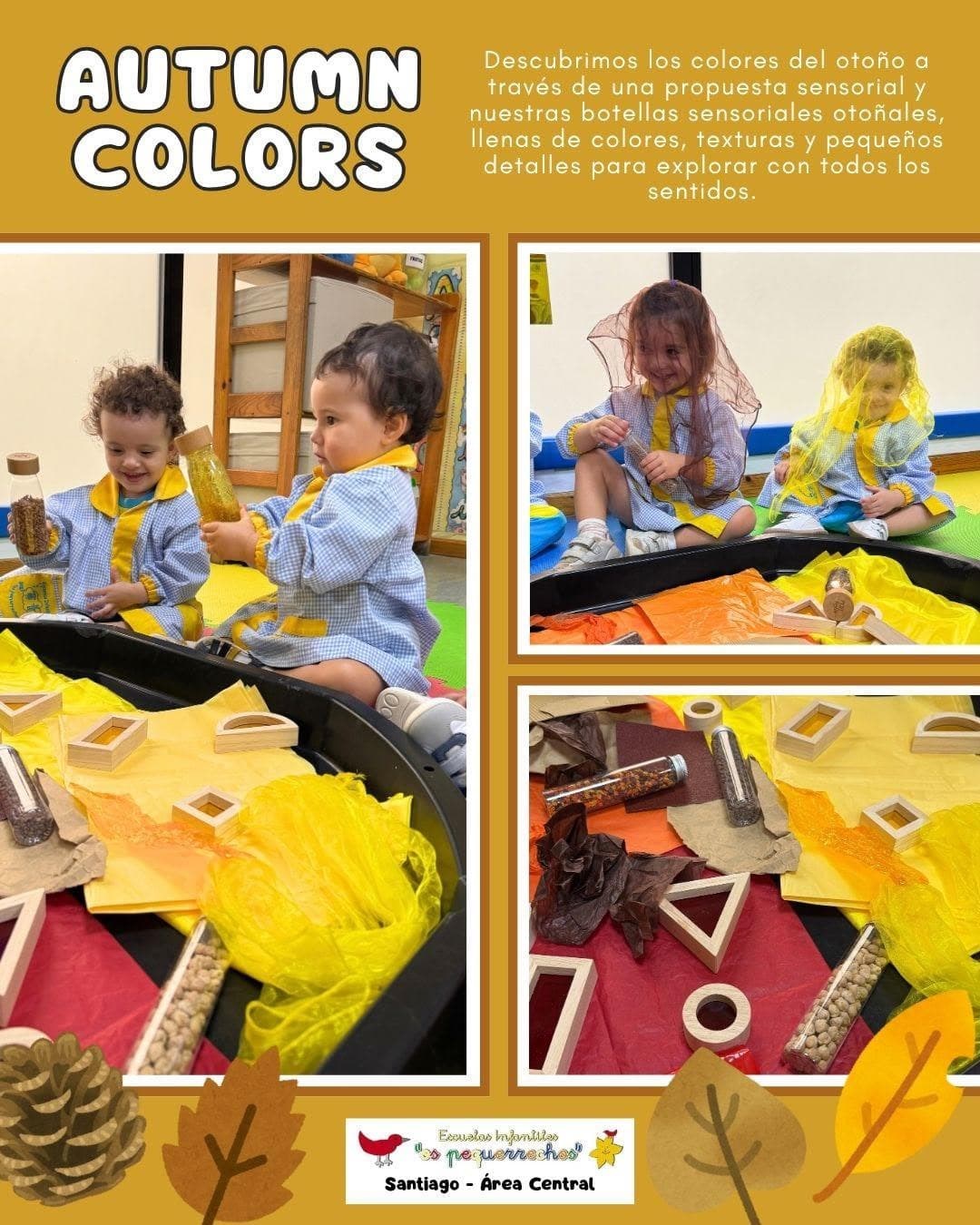 DESCUBRIENDO LOS COLORES DEL OTOÑO - Imagen 1