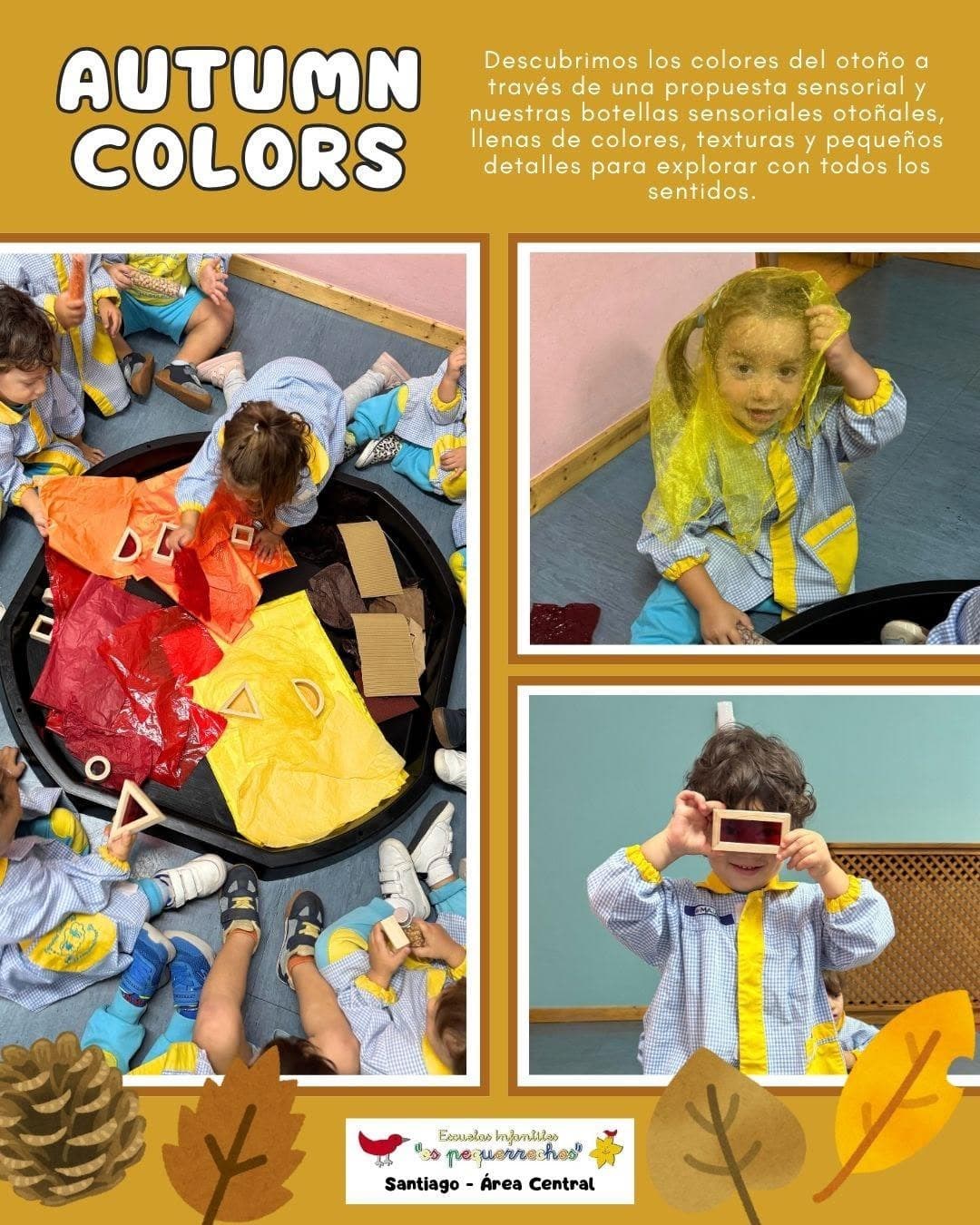 DESCUBRIENDO LOS COLORES DEL OTOÑO - Imagen 2