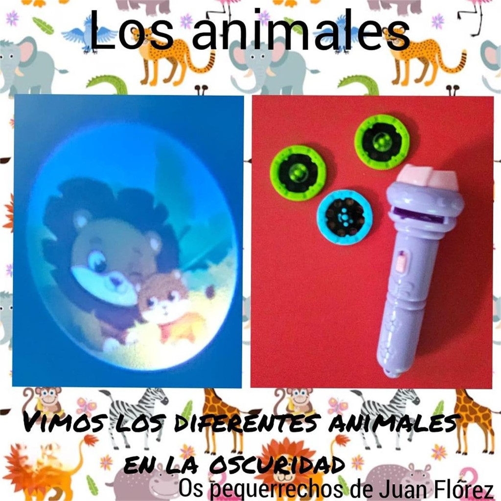 Descubrimos el Maravilloso Mundo de los Animales
