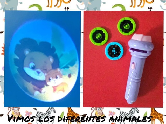 Descubrimos el Maravilloso Mundo de los Animales