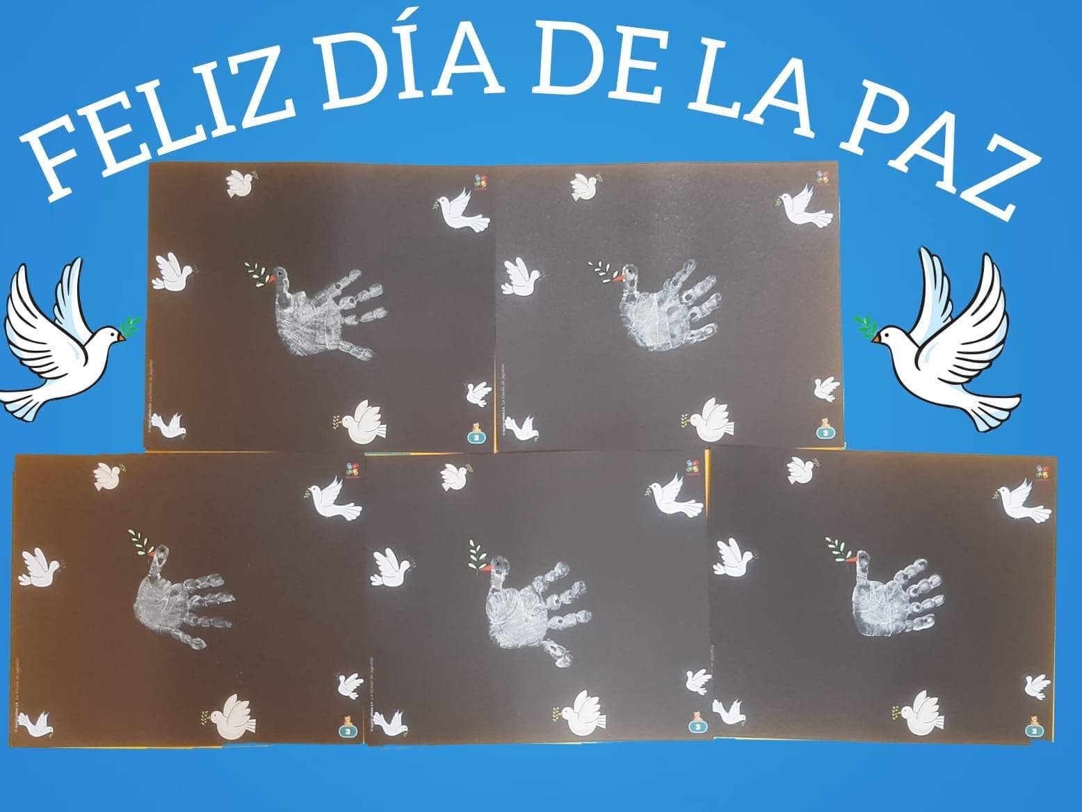 DÍA DE LA PAZ - Imagen 14