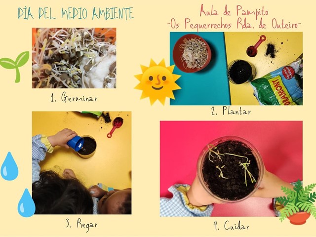 DÍA DEL MEDIO AMBIENTE