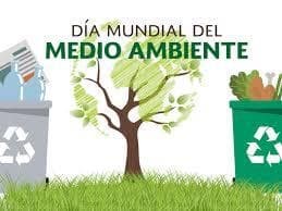 DÍA MUNDIAL DEL MEDIO AMBIENTE  - Imagen 4