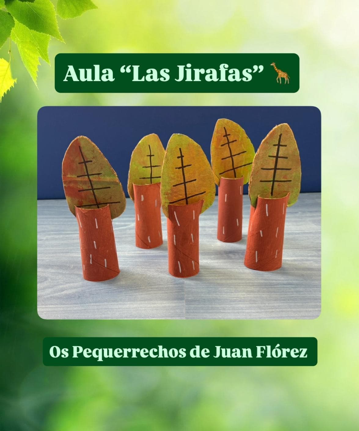 DISFRUTAMOS DEL PATIO - Imagen 4