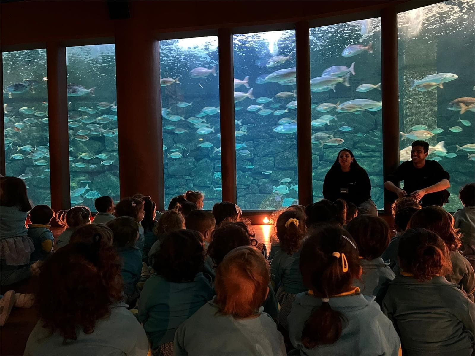 EXCURSIÓN AL AQUARIUM - Imagen 2