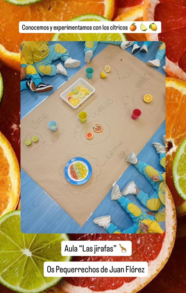 Exploramos la psicomotricidad fina y gruesa 