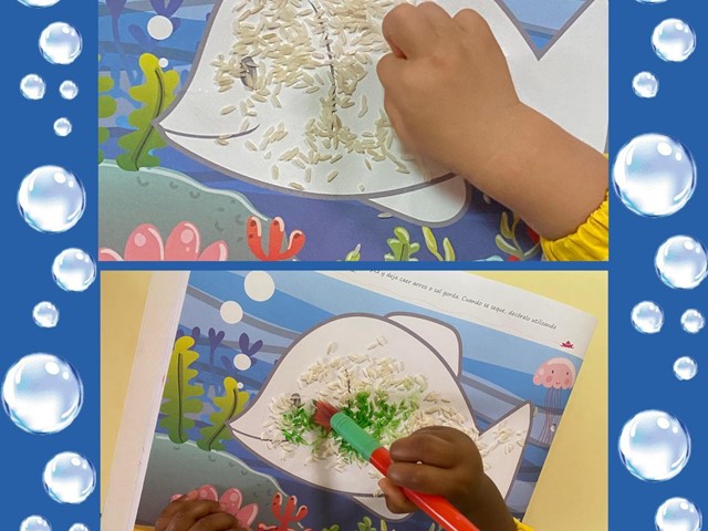 Exploramos texturas y colores con arroz y pintura