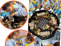 ¡EXPLORANDO EL OTOÑO!