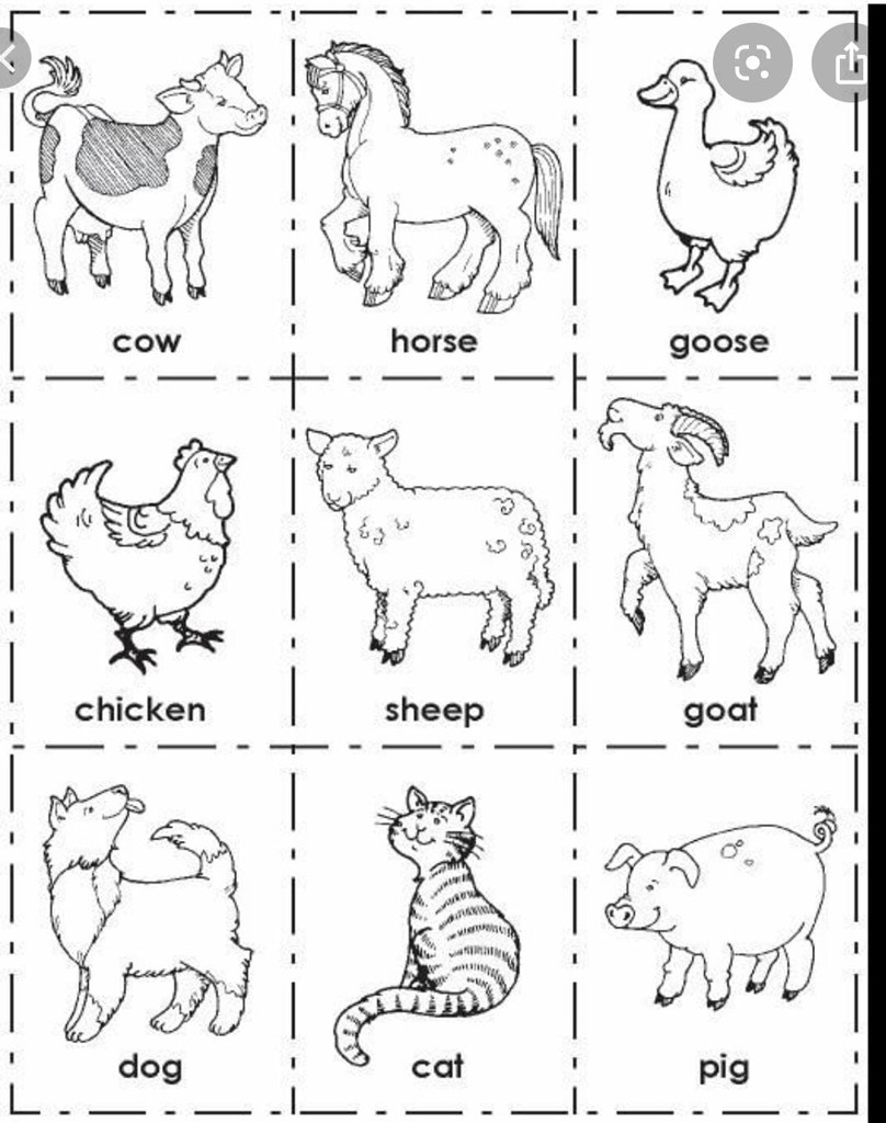 Ficha: Animales en inglés