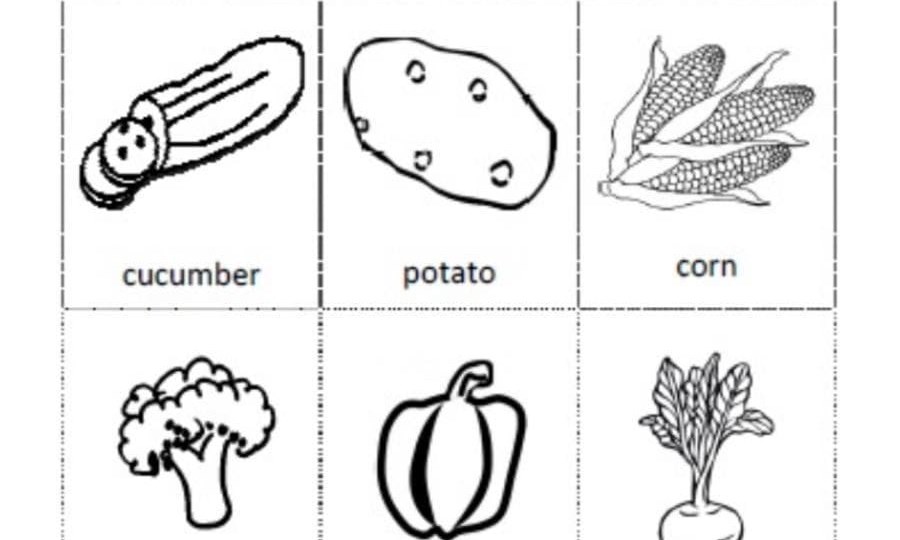 Ficha Vegetales en inglés Últimas Noticias