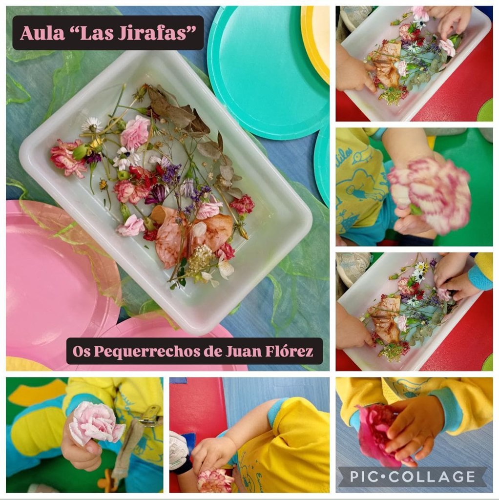 MANIPULACIÓN DE FLORES