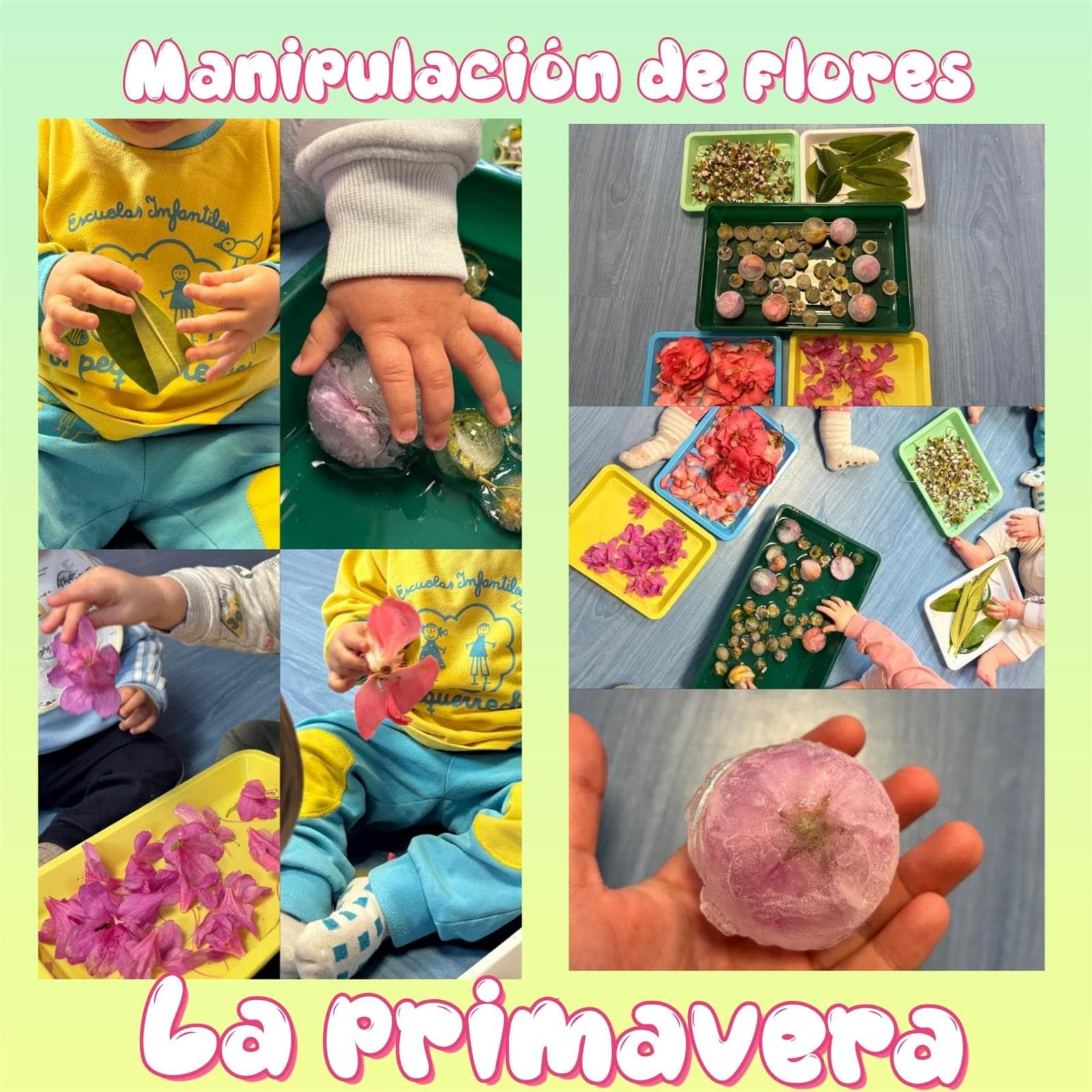 MANIPULACIÓN DE FLORES - Imagen 1