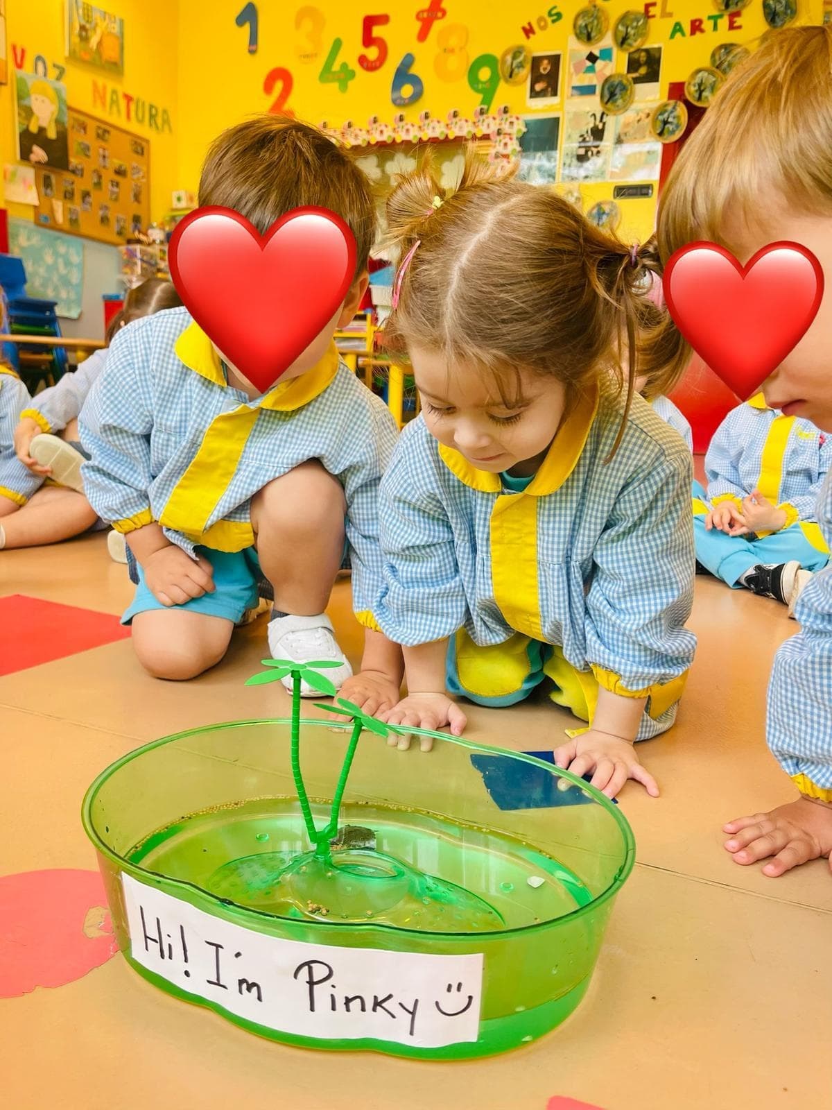 NUESTRA MASCOTA PINKY - Imagen 1