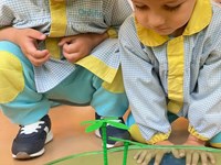 NUESTRA MASCOTA PINKY