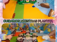 ¡NUESTRAS PLANTITAS SIGUEN CRECIENDO!