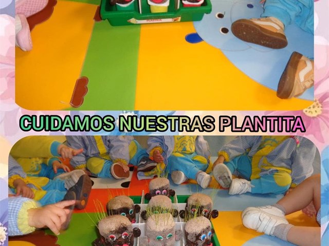 ¡NUESTRAS PLANTITAS SIGUEN CRECIENDO!