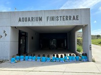 Os Pequerrecho@s de Juan Flórez visitan el Aquarium
