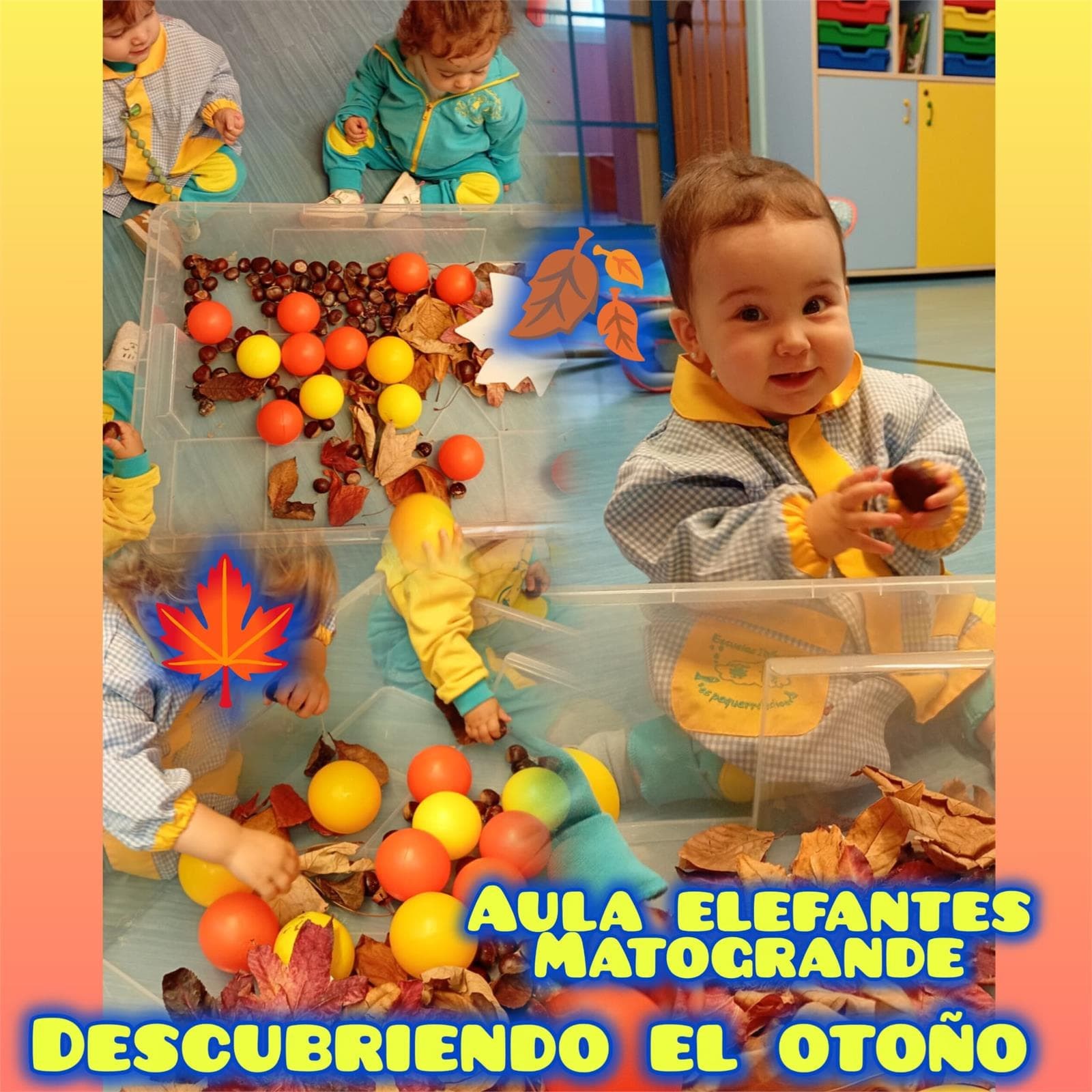 OS PEQUERRECHOS DE MATOGRANDE - Imagen 3