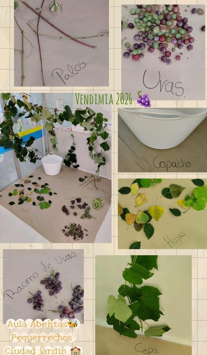 PEQUEÑOS/AS VENDIMIADORES - Imagen 1