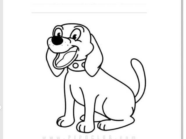 PERRO-DOG