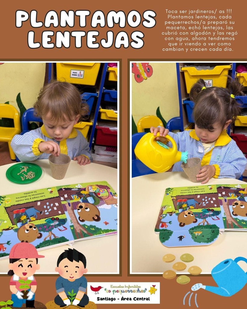 PLANTAMOS LENTEJAS