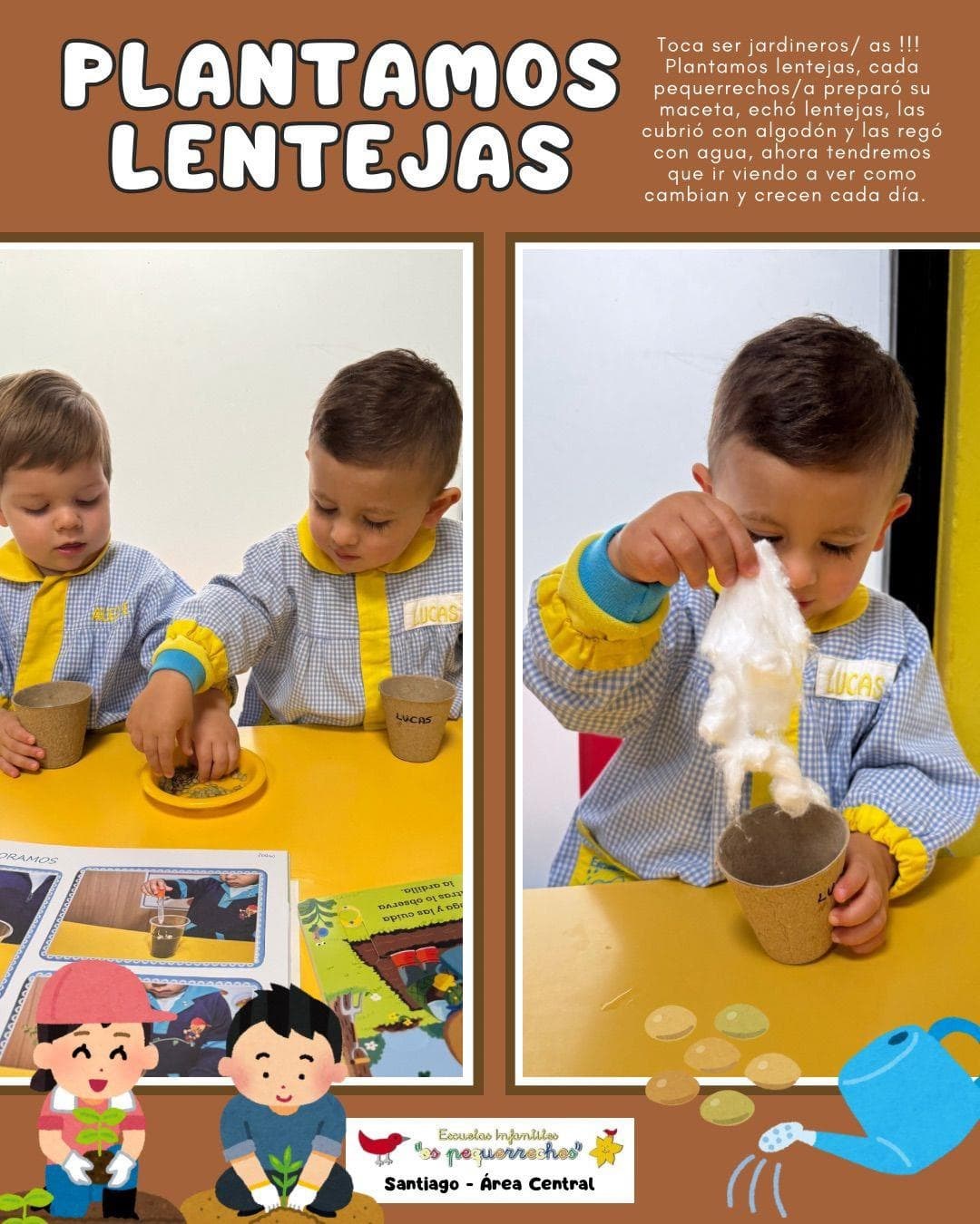 PLANTAMOS LENTEJAS - Imagen 1