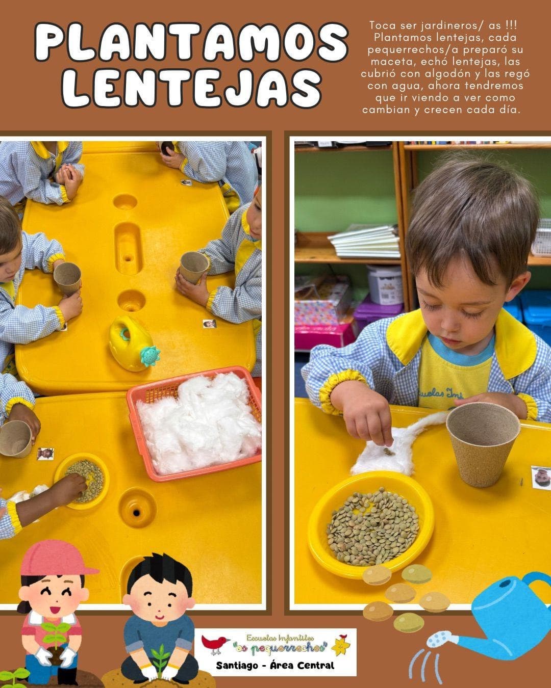 PLANTAMOS LENTEJAS - Imagen 2