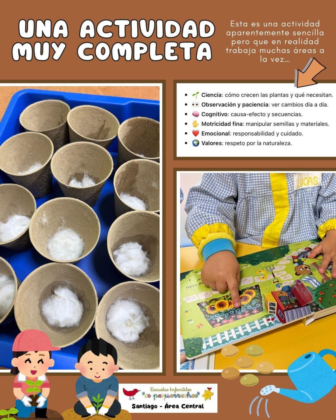 PLANTAMOS LENTEJAS - Imagen 3