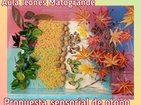PROPUESTA SENSORIAL DEL OTOÑO