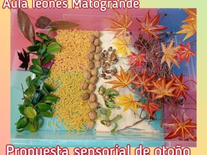 PROPUESTA SENSORIAL DEL OTOÑO