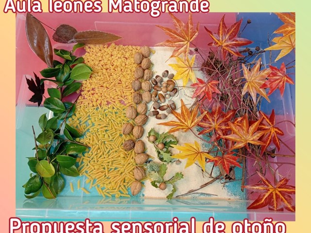 PROPUESTA SENSORIAL DEL OTOÑO