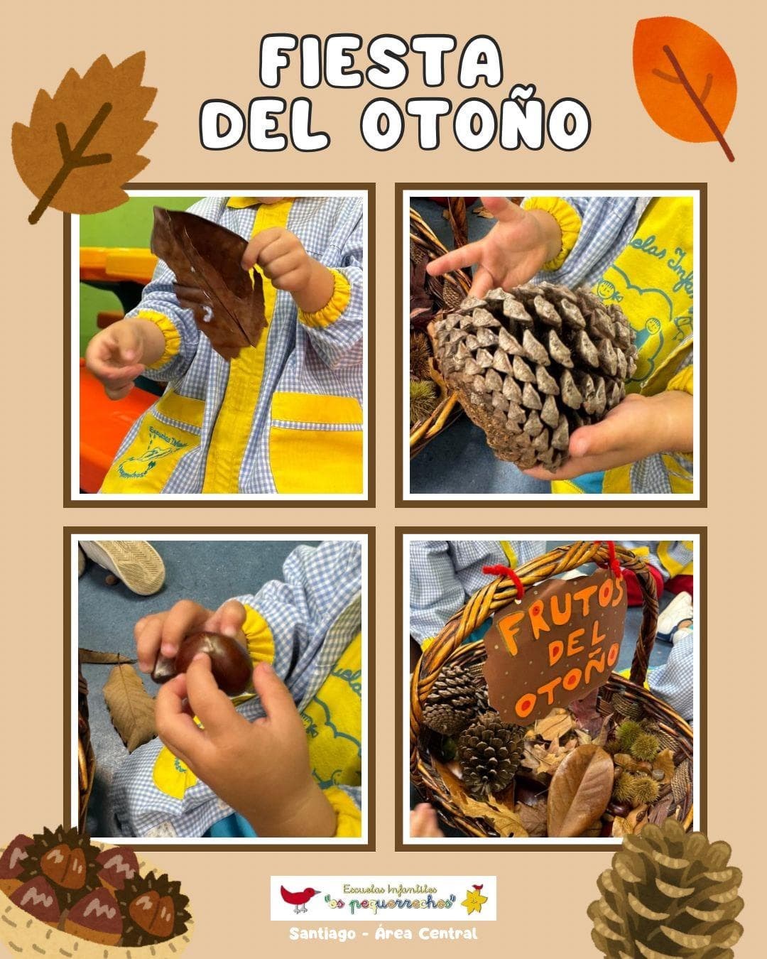 SEGUIMOS CON LAS ACTIVIDADES DEL OTOÑO - Imagen 2