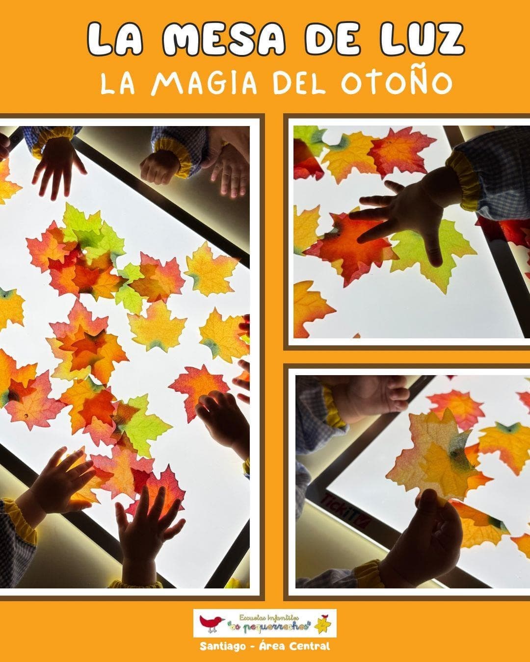 SEGUIMOS CON LAS ACTIVIDADES DEL OTOÑO - Imagen 5