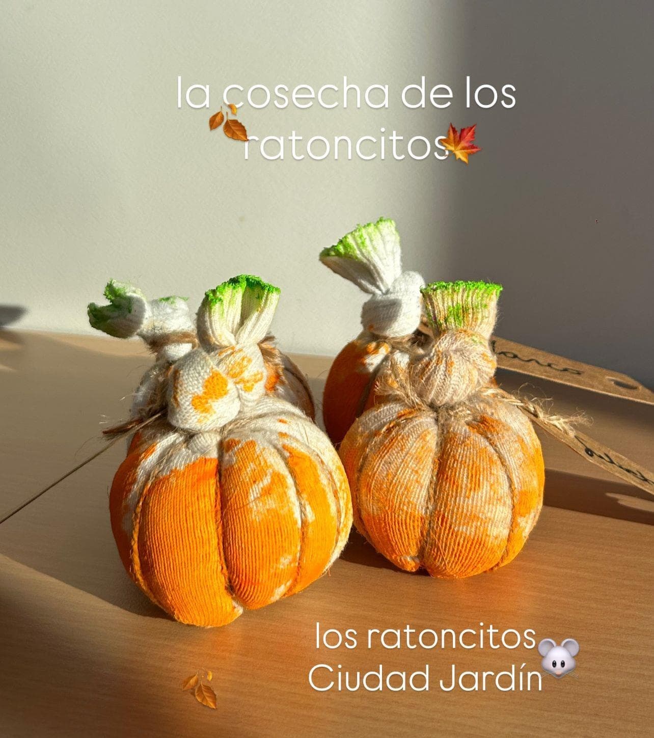 SEGUIMOS CON LAS ACTIVIDADES DEL OTOÑO - Imagen 7