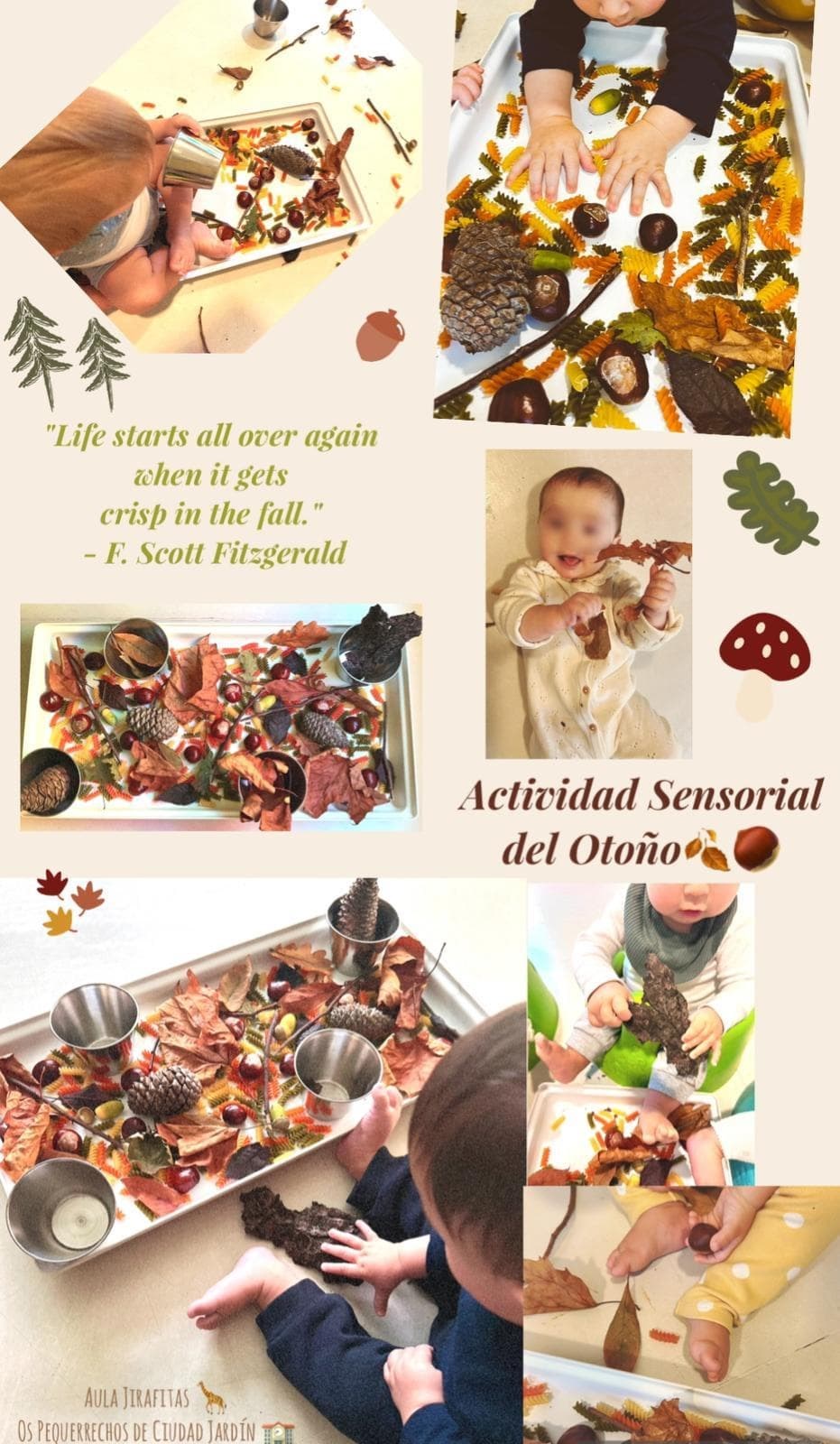SEGUIMOS CON LAS ACTIVIDADES DEL OTOÑO - Imagen 4