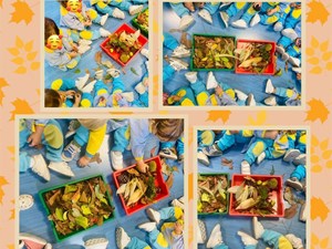 SEGUIMOS CON LAS ACTIVIDADES DEL OTOÑO