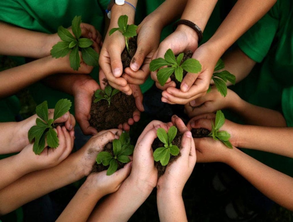 SEMANA ECOLÓGICA 